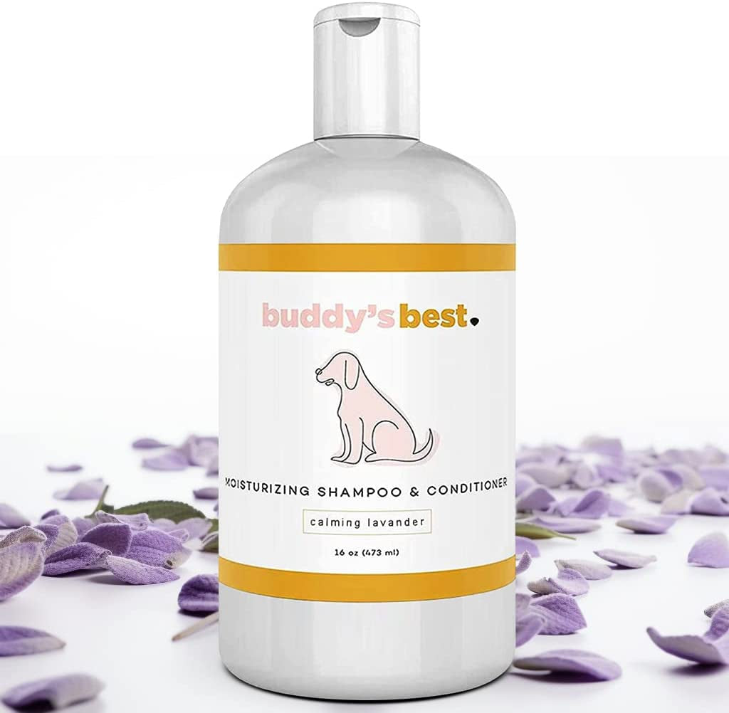 Dog Shampoo for Smelly Dogs - Skin-Friendly, Oatmeal Dog Shampoo and Conditioner for Dry and Sensitive Skin - Moisturizing Puppy Wash Shampoo, Calming Lavender Scent, 16Oz