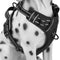 No Pull Dog Harness, Reflective Comfortable Vest Harness with Front & Back 2 Leash Attachments and Easy Control Handle Adjustable Soft Padded Pet Vest for Small to Large Dogs (Black,L)